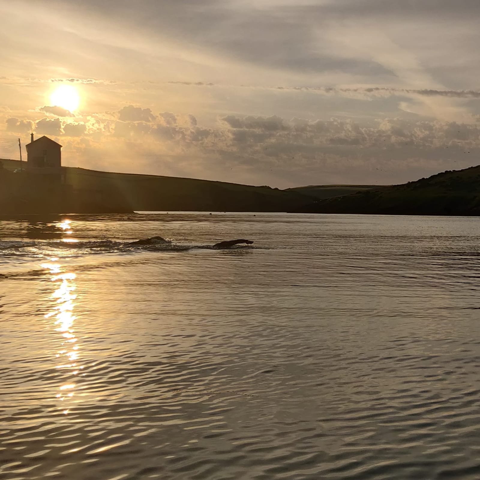 Summer dawn at Sandycove Island. Photo by Eoin O'Riordan